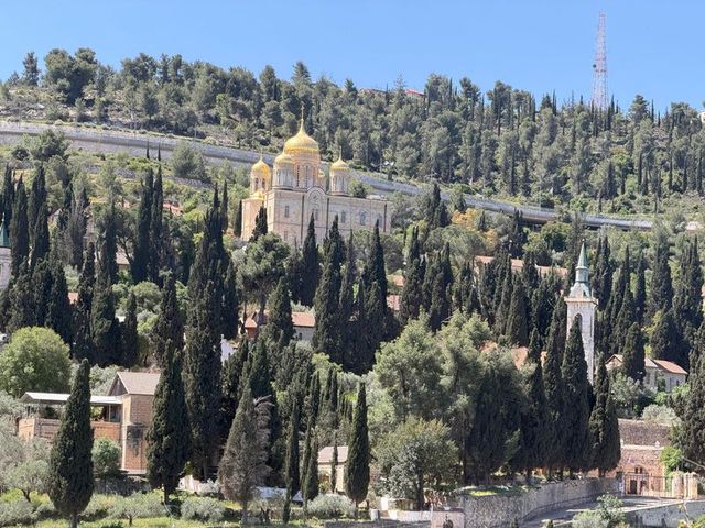 ריטריט אמנות בעין כרם